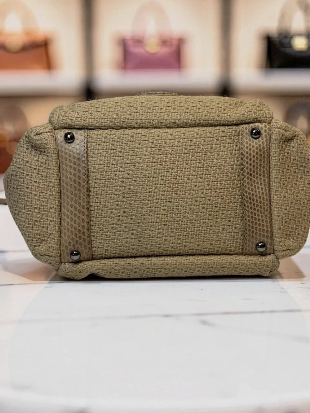 Chanel Python-Trimmed Accordion Flap Bag Taupe Exotic